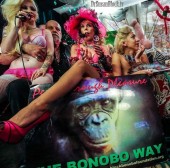 bonobo_amor_kitty_jux