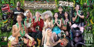 #GoBonobos in 2018